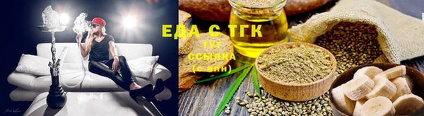индика Туринск