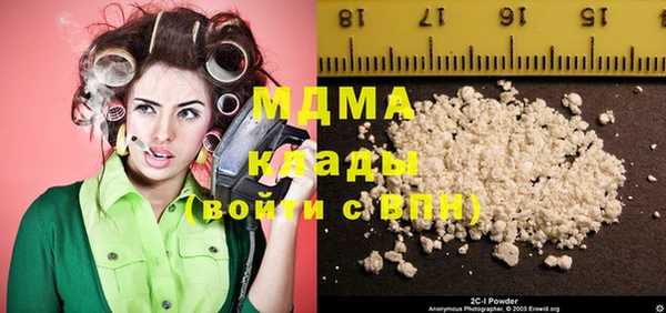 индика Туринск