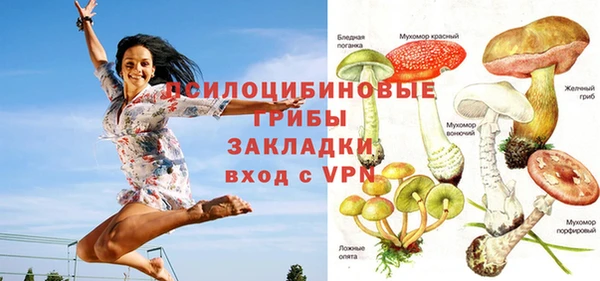 соль курить ск Алзамай