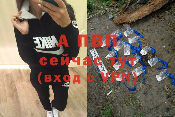 стаф Алексин