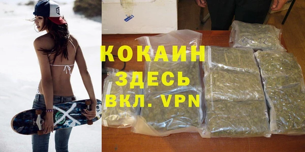 соль курить ск Алзамай